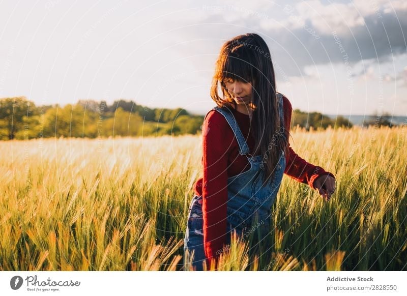 Woman walking on field Field Walking To enjoy Evening Nature Beautiful Girl Beauty Photography Youth (Young adults) Grass Meadow Freedom Happiness Sun Autumn