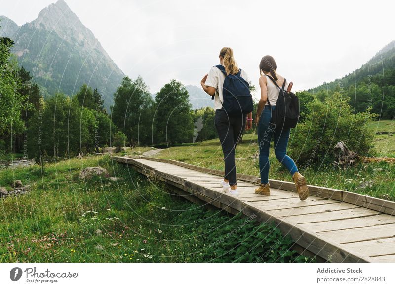 Women walking on wooden path in mountains Woman Walking Street Rural Friendship Backpack Nature Girl Youth (Young adults) Beautiful Vacation & Travel Tourism