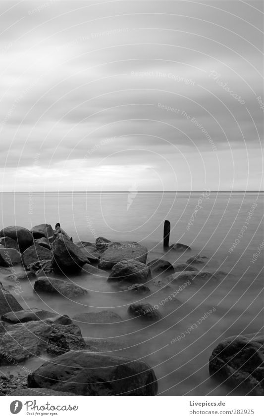 da Pfal Environment Nature Landscape Water Sky Clouds Weather Bad weather Coast Beach Baltic Sea Ocean Stone Wood Gray Black White Black & white photo