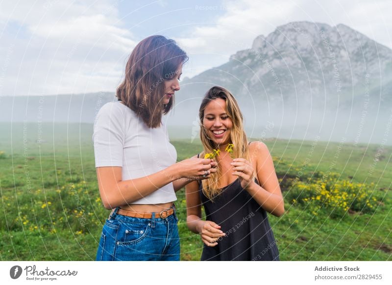 Smiling girls with field flowers Woman Meadow Flower Field picking Happy Laughter Together Friendship Relaxation Mountain Nature Girl Grass Beautiful