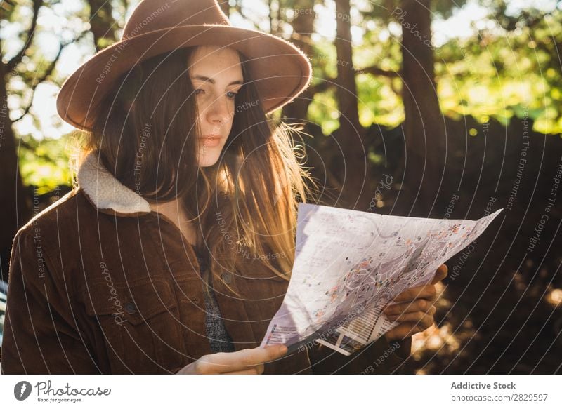 Young woman with map on forest Woman Tourist Forest Green Nature Environment pretty Map Reading Navigation Lost Natural Seasons Plant Leaf Light Fresh Bright
