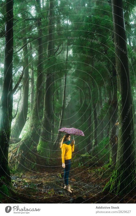 Woman with umbrella in windy forest Forest Green Umbrella Wind Walking pretty Vacation & Travel Tourism Loneliness Nature Landscape Tree Trunk Plant Park
