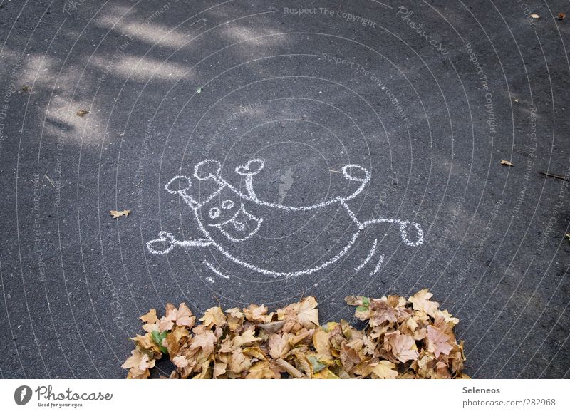 Off into the foliage Environment Nature Autumn Leaf Street Concrete Movement Laughter Playing Jump Romp Happiness Happy Natural Street painting Chalk