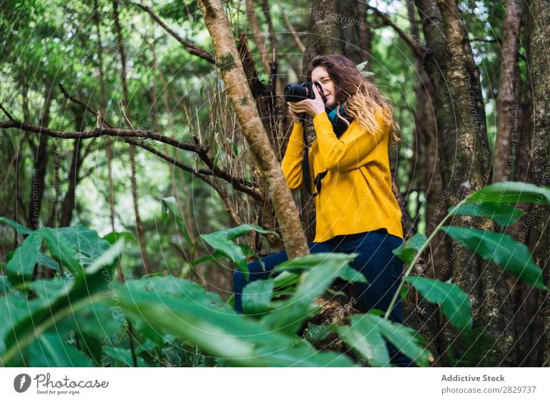 Woman taking shots in forest Forest Green Photographer Camera pretty Vacation & Travel Tourism Loneliness Nature Landscape Tree Trunk Plant Park Seasons Fog