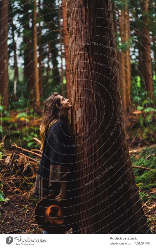 Woman embracing tree in woods Tree Embrace Harmonious Environment Energy Freedom Forest Love traveler Emotions Connection Nature Trunk Protection Natural
