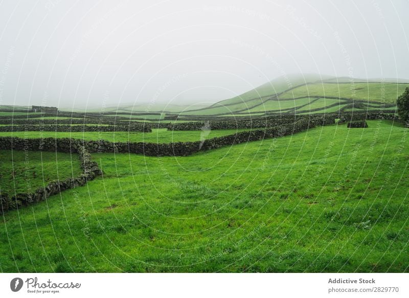 Green foggy field with fence Field Vantage point Nature Fence Landscape Stone Fog Grass Meadow Rural Clouds Seasons Environment Scene Beautiful Agriculture