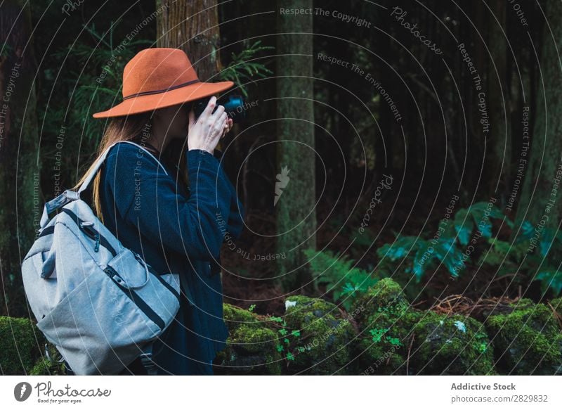 Woman taking shots in forest Tourist Forest Green Nature Photographer Camera Backpack Aim Take focusing Environment Natural Seasons Plant Leaf Light Fresh