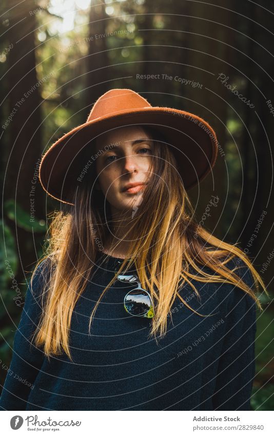 Young woman in sunny forest Woman pretty Forest Green Hat Nature Environment Natural Seasons Plant Leaf Light Fresh Bright Day Sunlight Wood Growth Trunk