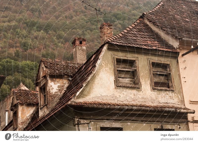 back in... Romania Europe Eastern Europe Siebenbürgen Town Old town Deserted House (Residential Structure) Manmade structures Building Architecture Window Roof