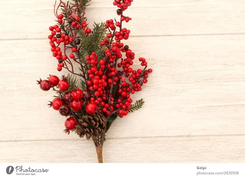 Red fruits on the branch Christmas for decoration Fruit Winter Decoration Feasts & Celebrations Christmas & Advent Nature Plant Tree Leaf Wood New Many Gray
