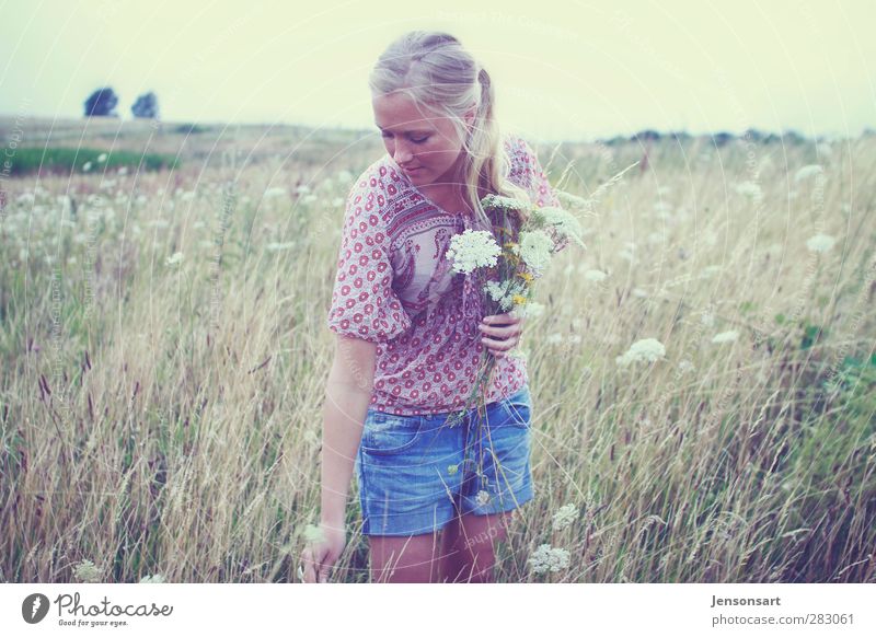 Blond girl on a flower meadow Human being Feminine Young woman Youth (Young adults) 1 18 - 30 years Adults Landscape Summer Flower Blonde Braids Beautiful
