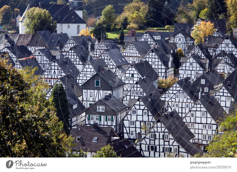 Freudenberg Vacation & Travel Tourism Trip City trip Living or residing Flat (apartment) House (Residential Structure) Summer Tree freudenberg