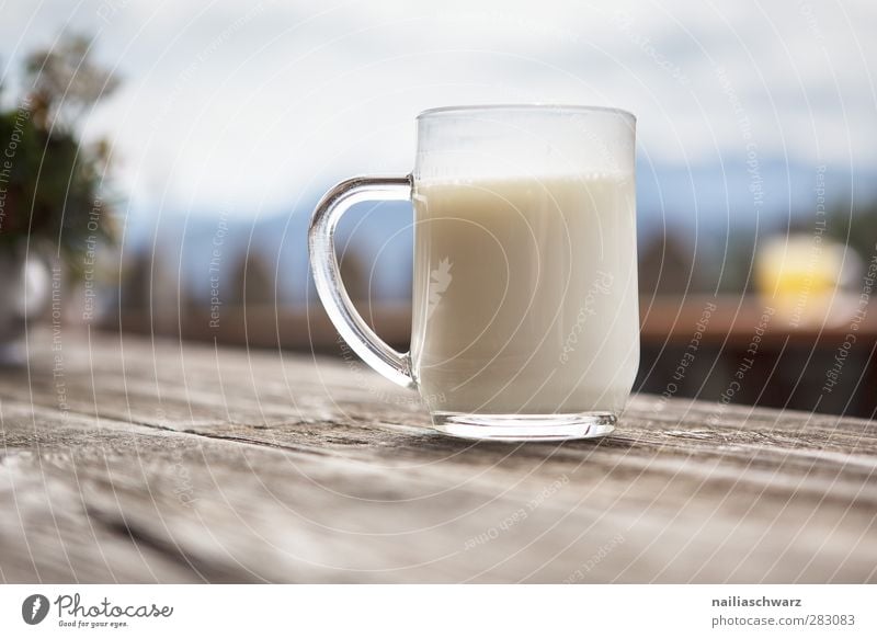 delicious! Food Dairy Products Organic produce Beverage Cold drink Milk buttermilk Cup Mug Glass Agriculture Forestry Closing time Wood To enjoy Authentic