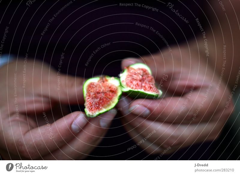 fig Food Fruit Nature Plant Adventure Vacation & Travel Colour photo Day Blur