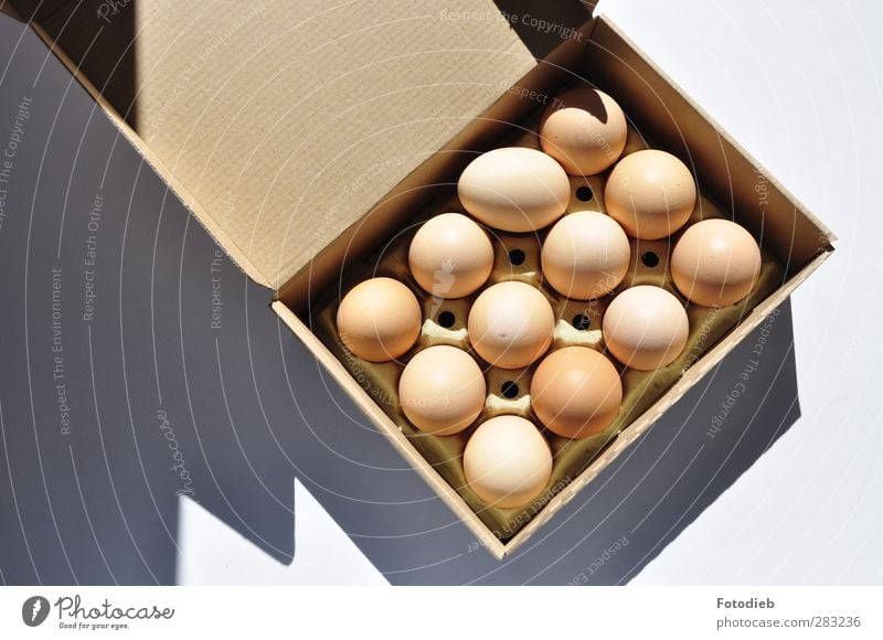 Think outside the box Food Egg Breakfast Chicken Paper Packaging Sharp-edged Round Brown Cardboard packaging Cardboard box Shadow Colour photo Detail Deserted