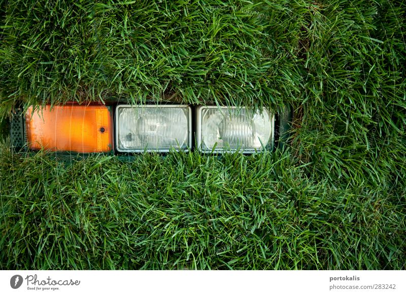 Green bus Environment Nature Grass Energy Idea Climate Colour photo Close-up Detail Deserted Neutral Background Morning