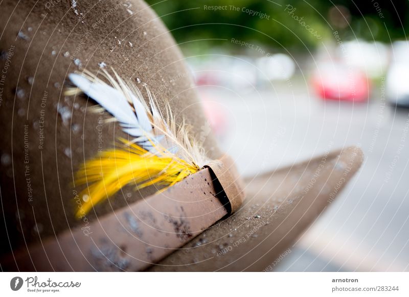 put your hat on when it's raining Clothing Felt Felt hat Accessory Hat Leather Brown Yellow Patient Feather headdress Colour photo Close-up Deserted