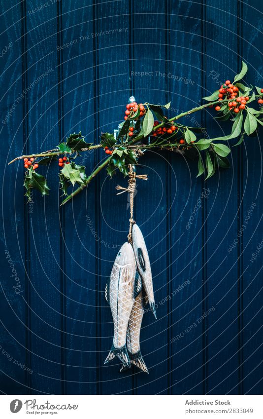 Branches and fish on door Decoration Door Hanging Fish Tree Green Red Seasons decor Tradition Symbols and metaphors House (Residential Structure) Rustic Colour