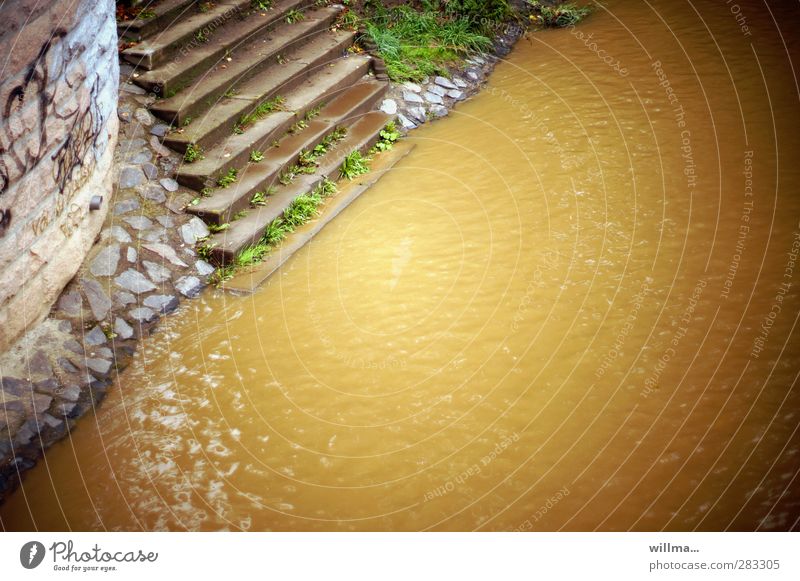 Stairs into the river Environment Nature Water River bank Dirty Brown Yellow Survive Environmental pollution Escarpment Wall (barrier) Bank reinforcement