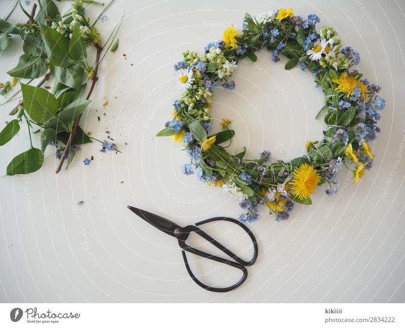 spring wreath Nature Spring Plant Flower Leaf Blossom Wild plant Daisy Forget-me-not Dandelion Flower wreath Garden Accessory Decoration Bouquet Blossoming