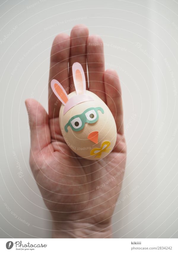 platypus Hand Fingers Spring Bow tie Eyeglasses Animal Bird Animal face Chick Egg hatch Breakfast 1 Decoration Kitsch Odds and ends Eating To hold on Lie