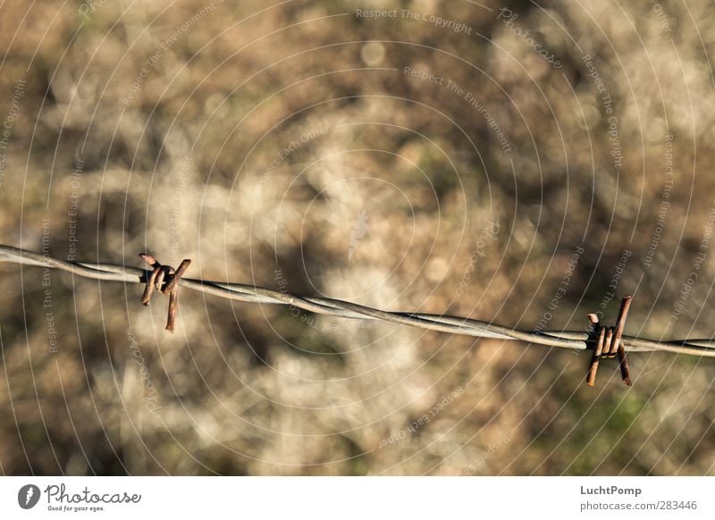 across Barbed wire Barbed wire fence Stop Thorny Rust Metal Blur Shallow depth of field Ground Sand Desert Diagonal Protective Threat Dismissive Plaited Pain