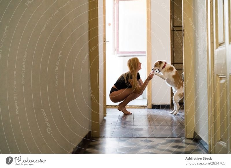 Sexy young woman at home playing with her dog Dog Pet Love Human being House (Residential Structure) Youth (Young adults) Eroticism Girl Woman Caucasian Happy