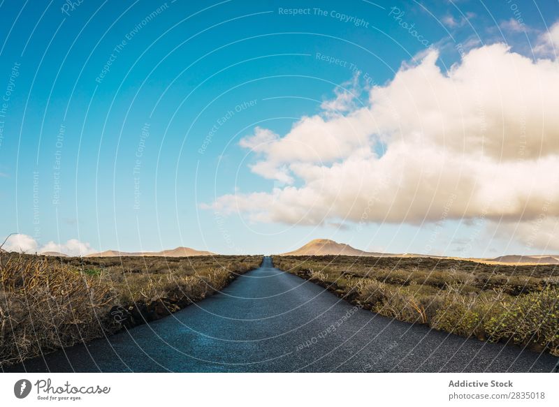 Landscape of road in field Field Dry Clouds Nature Natural Rock Stone Lanzarote Spain Vantage point Vacation & Travel Tourism Trip Yellow Hill tranquil