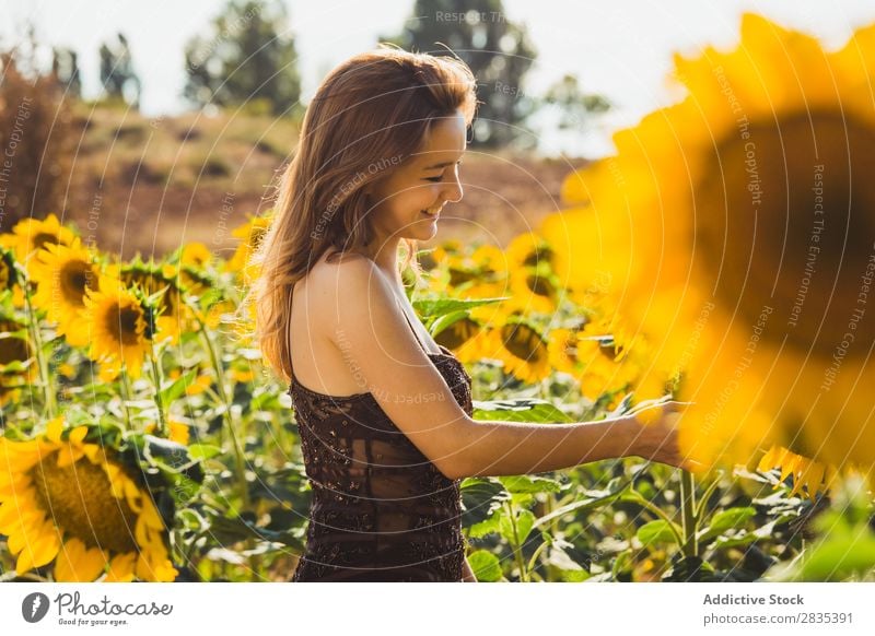 Pretty young woman in sunflowers Woman pretty Field Dress Youth (Young adults) Nature Beautiful Summer Happiness Yellow Portrait photograph Cheerful