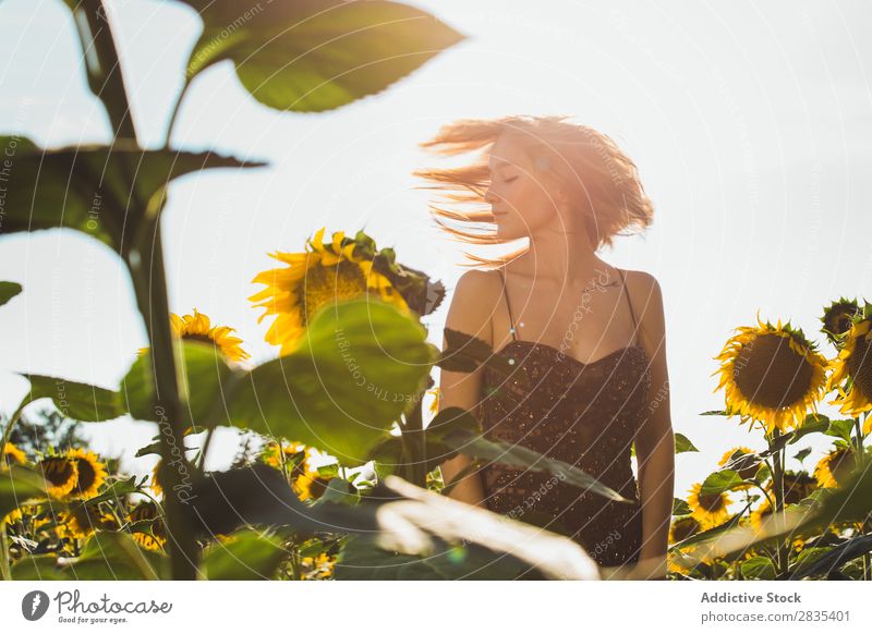 Pretty young woman in sunflowers Woman pretty Field Dress Youth (Young adults) Nature Beautiful Summer Happiness Yellow Portrait photograph Cheerful