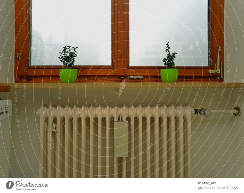 Two unequal twins Living or residing Flat (apartment) Decoration Fog Window Heating Flowerpot Wooden window Warmth Save energy Heater ancillary costs