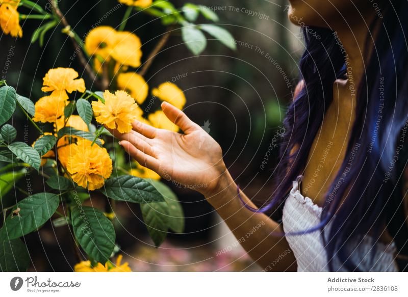 Crop woman touching yellow flower Woman pretty Youth (Young adults) Beautiful Portrait photograph Park Flower Yellow Hair Purple Fashion Attractive City