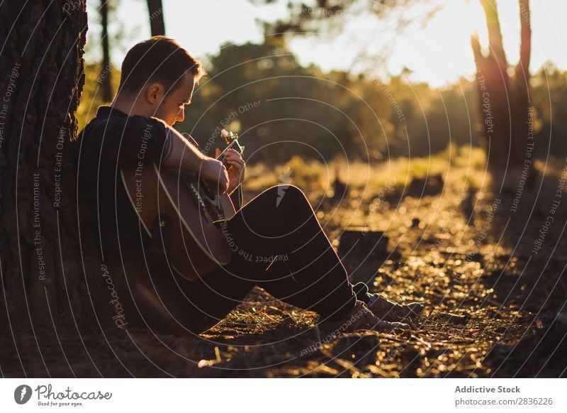Man playing guitar in nature Guitar Nature Music Forest Sunbeam Day Lean Sit Trunk Lifestyle Musician Easygoing Guitarist Acoustic Autumn Musical Human being