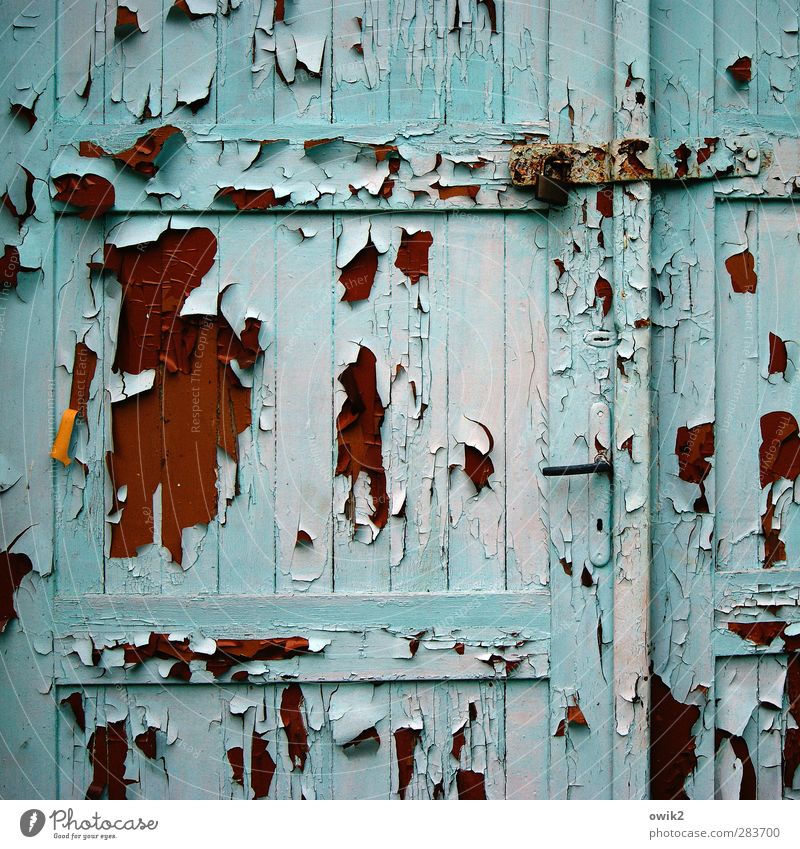 the course of events Door Wood Old Hang To dry up Historic Brown Orange Red Turquoise Colour Flake off Ravages of time Derelict Morbid Door handle Closed