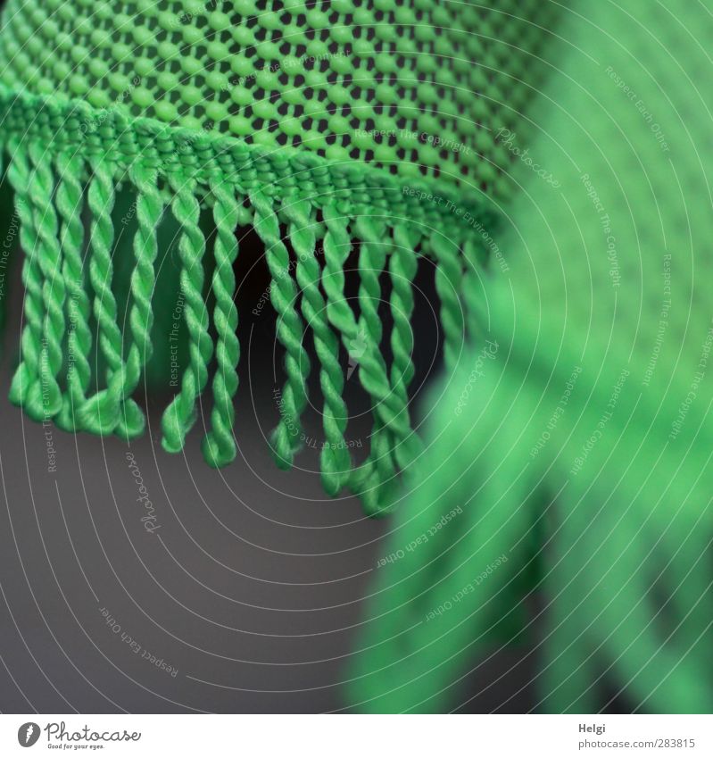 Pleat throw | trapped in plastic Tablecloth Fringe Plastic Hang Living or residing Authentic Simple Uniqueness Gray Green Orderliness Bizarre Arrangement