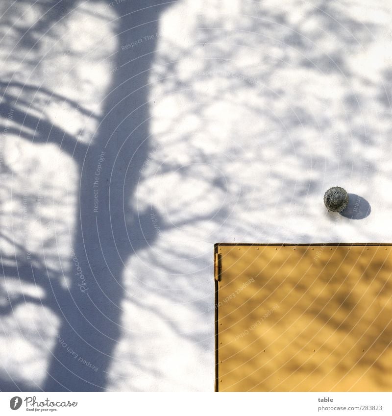Shadows of himself. . . House (Residential Structure) Environment Nature Plant Autumn Winter Tree Building Wall (barrier) Wall (building) Facade Door Lamp