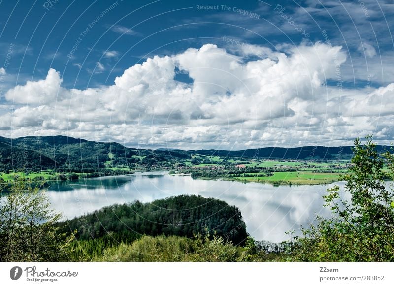 Kochelsee Nature Landscape Sky Clouds Summer Beautiful weather Tree Mountain Lake Far-off places Cold Natural Relaxation Horizon Idyll Sustainability