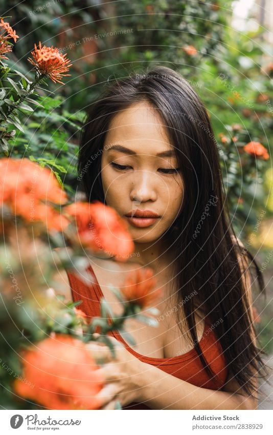 Sensual woman standing at blooming bush Woman pretty asian Youth (Young adults) Bushes Flower Orange Street Town Beautiful Portrait photograph Attractive