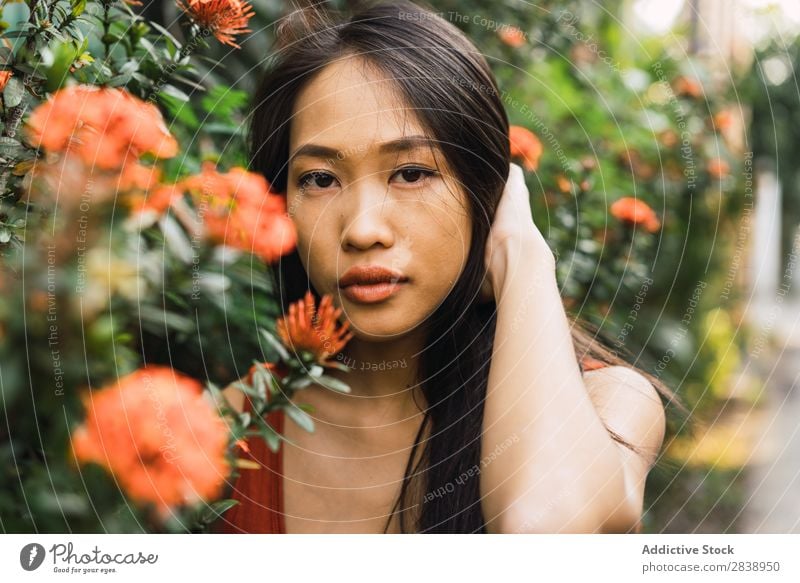 Sensual woman standing at blooming bush Woman pretty asian Youth (Young adults) Bushes Flower Orange Street Town Looking into the camera holding hair Beautiful