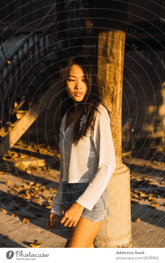 Asian woman leaning at column Woman pretty asian Youth (Young adults) Hair Brunette Joy Wood House (Residential Structure) Sunbeam Beautiful Portrait photograph