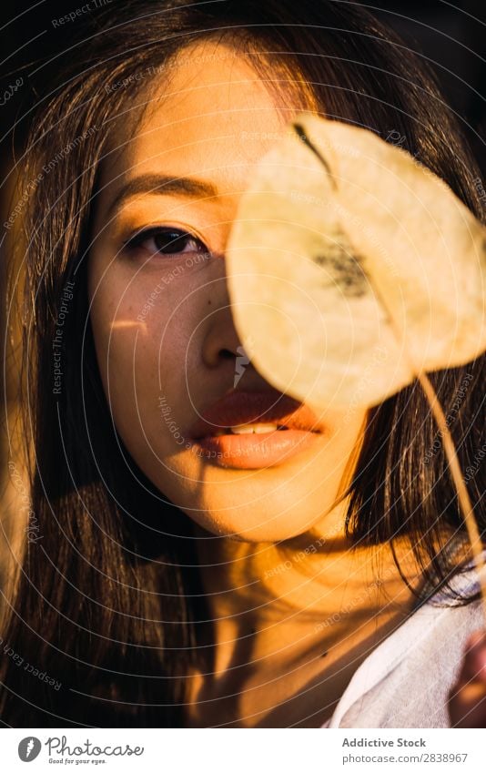Asian woman with dry leaf Woman pretty asian Youth (Young adults) Leaf Dry Lean Wood Column East Beautiful Portrait photograph Attractive Beauty Photography
