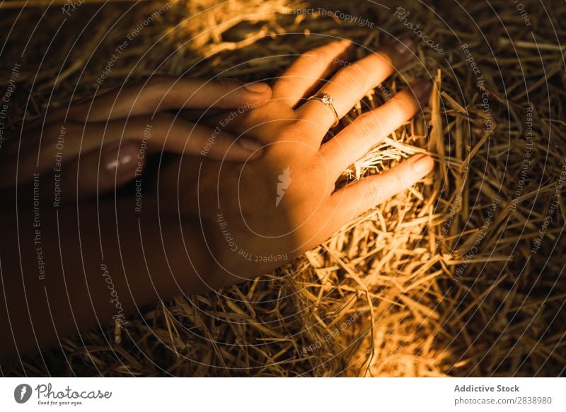 Crop hands in a haystack Yellow Crops Rural Farm Stack Landing Wheat Structures and shapes Natural Gold Meadow Agriculture Hay Beauty Photography Landscape
