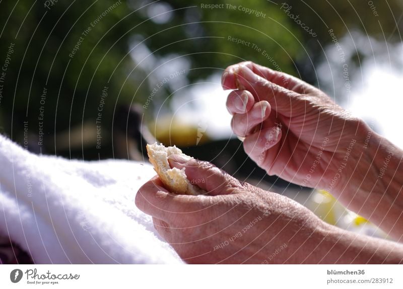 nutritious Feminine Grandmother Skin Hand Fingers 60 years and older Senior citizen Eating Feeding Old Natural Appetite Time Sensitive Vulnerable Bread Dry