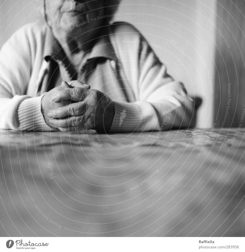 rest Feminine Female senior Woman Face Arm Hand Fingers 1 Human being 60 years and older Senior citizen Shirt Blouse Cardigan Wait Sit Wrinkle Skin Folded