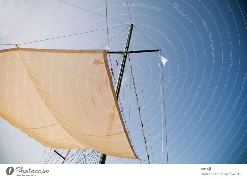 air Environment Nature Sky Sky only Cloudless sky Summer Wind Bright Blue Sailing Sailboat Sailing ship Rag Colour photo Exterior shot Deserted Copy Space right
