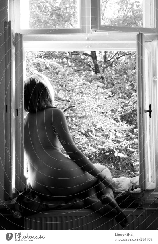 Woman in the window (2) Naked Female nude Nude photography Noble Looking Exterior shot Tree Leaf Shallow depth of field Blur Depth of field Elegant Back Bottom