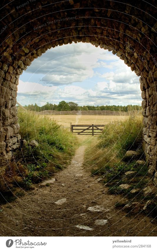 The way Environment Nature Landscape Animal Elements Earth Air Sky Clouds Storm clouds Summer Wind Grass Bushes Meadow Field Village Deserted Ruin Tunnel