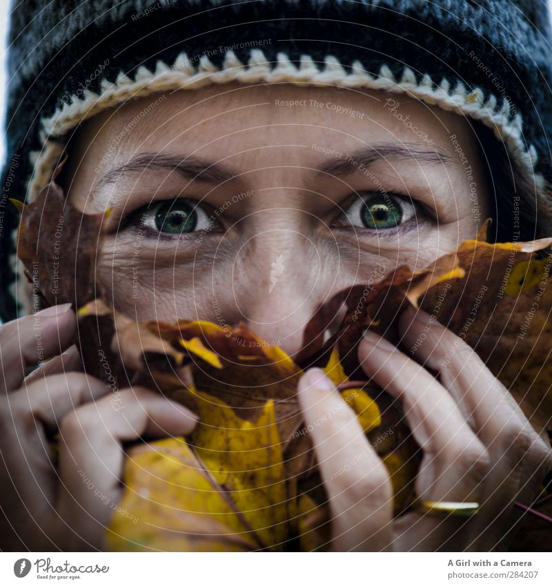 c'est moi eating leaves Human being Feminine Woman Adults Life Eyes 1 30 - 45 years To hold on Odor Multicoloured Autumn leaves Woolen hat Funny Laughter Joy