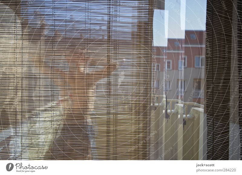 much sun in front of the balcony Lifestyle Joy Venetian blinds Balcony Masculine Window Humanity Relaxation Irritation Double exposure Stretching Sunbathing