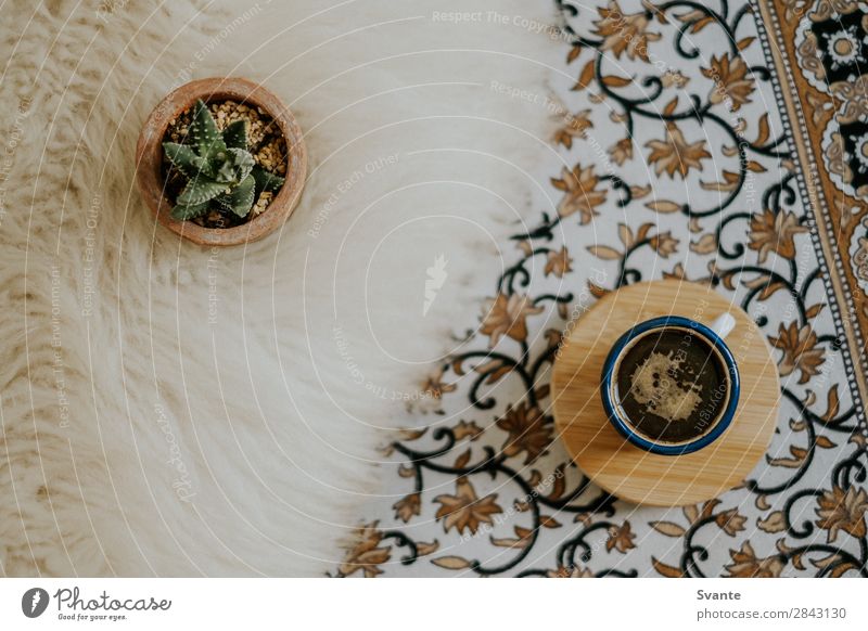 Top view of espresso cup on floral pattern Lifestyle Elegant Style Design Interior design Decoration Esthetic Authentic Berlin Cactus Espresso Mug Cup Pattern